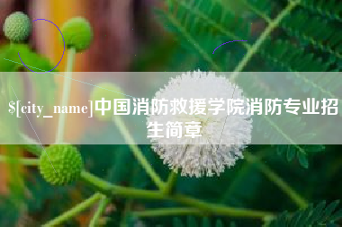 阳泉中国消防救援学院消防专业招生简章