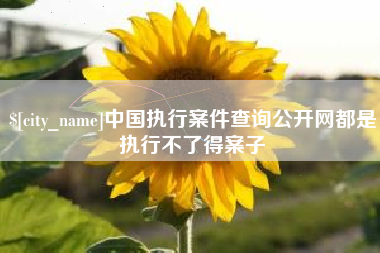 阳泉中国执行案件查询公开网都是执行不了得案子