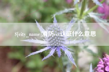 阳泉消防ccc认证什么意思