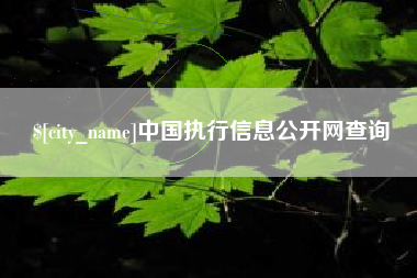 阳泉中国执行信息公开网查询