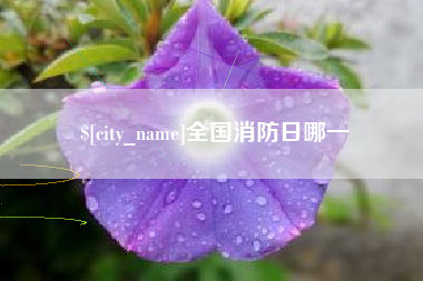 阳泉全国消防日哪一
