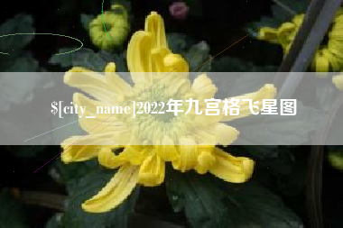 阳泉2022年九宫格飞星图