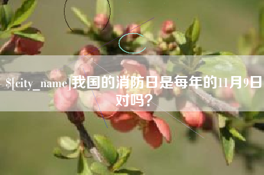 阳泉我国的消防日是每年的11月9日对吗？