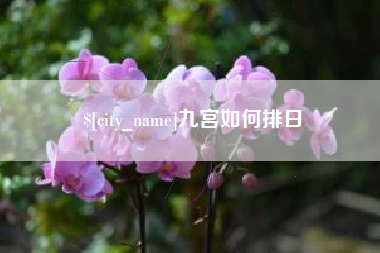 阳泉九宫如何排日