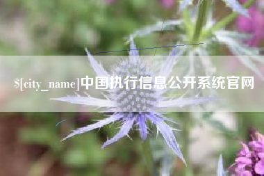 阳泉中国执行信息公开系统官网