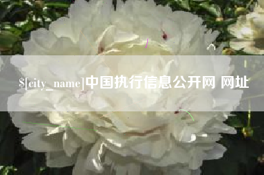阳泉中国执行信息公开网 网址