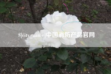 阳泉中国消防产品官网