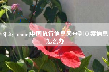 阳泉中国执行信息网查到立案信息怎么办