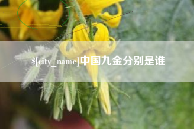 阳泉中国九金分别是谁
