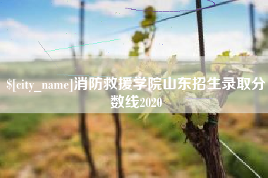 阳泉消防救援学院山东招生录取分数线2020