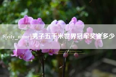 阳泉男子五千米世界冠军奖金多少
