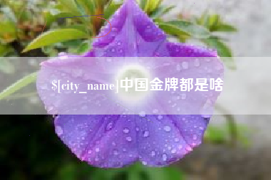 阳泉中国金牌都是啥