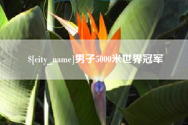 阳泉男子5000米世界冠军