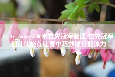 阳泉5000米世界冠军配速-世界冠军们往往能在比赛中巧妙地分配体力
