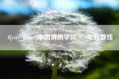 阳泉中国消防学院2024年分数线