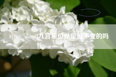 阳泉九宫星位是定位不变的吗
