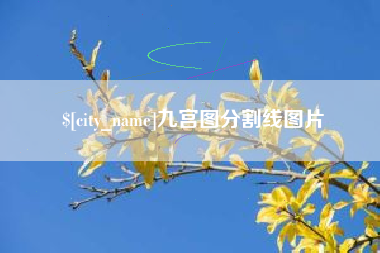 阳泉九宫图分割线图片