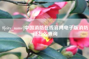 阳泉中国消防在线官网电子版消防证怎么查询