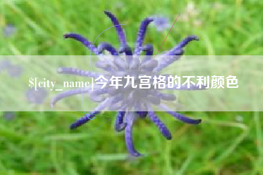 阳泉今年九宫格的不利颜色