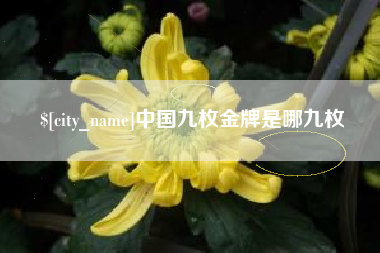 阳泉中国九枚金牌是哪九枚