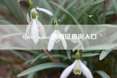 阳泉消防证查询入口