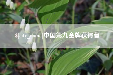阳泉中国第九金牌获得者
