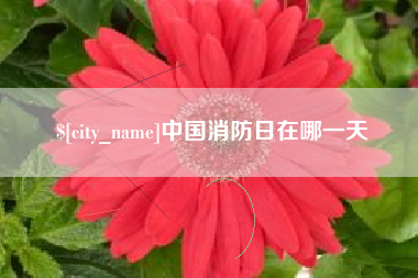 阳泉中国消防日在哪一天