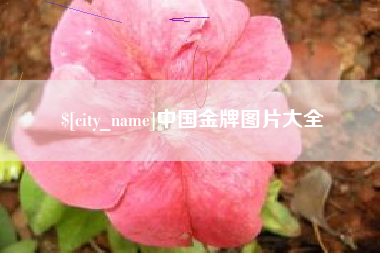 阳泉中国金牌图片大全