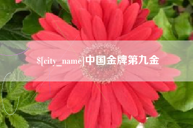 阳泉中国金牌第九金