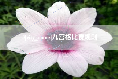 阳泉九宫格比赛规则