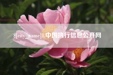 阳泉1.中国执行信息公开网