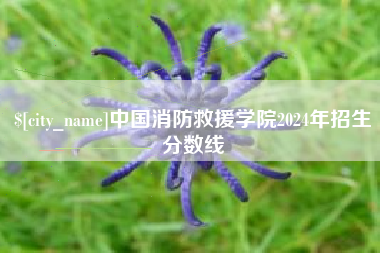 阳泉中国消防救援学院2024年招生分数线