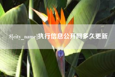 阳泉执行信息公开网多久更新
