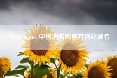 阳泉中国消防网官方网站域名