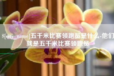 阳泉五千米比赛领跑员是什么-他们就是五千米比赛领跑员
