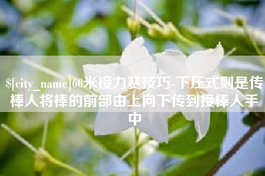阳泉60米接力赛技巧-下压式则是传棒人将棒的前部由上向下传到接棒人手中