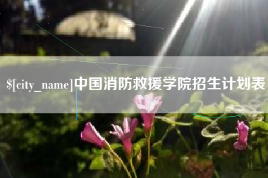 阳泉中国消防救援学院招生计划表