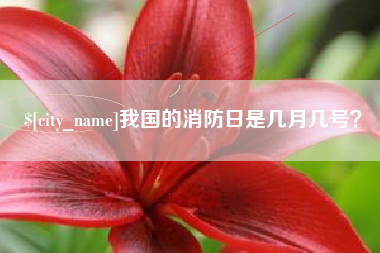 阳泉我国的消防日是几月几号？