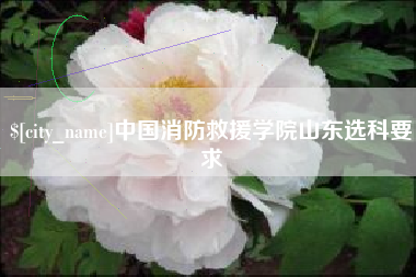 阳泉中国消防救援学院山东选科要求