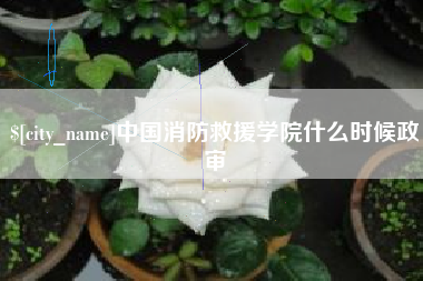 阳泉中国消防救援学院什么时候政审