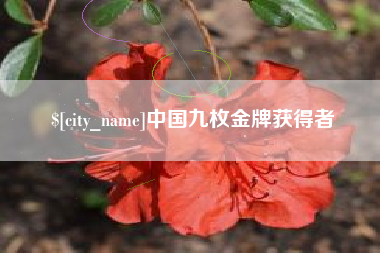 阳泉中国九枚金牌获得者