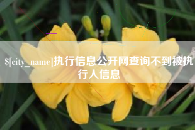 阳泉执行信息公开网查询不到被执行人信息