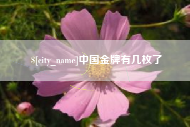 阳泉中国金牌有几枚了