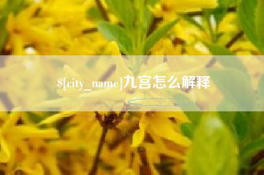 阳泉九宫怎么解释