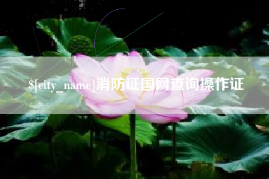 阳泉消防证国网查询操作证