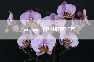 阳泉中国消防官方