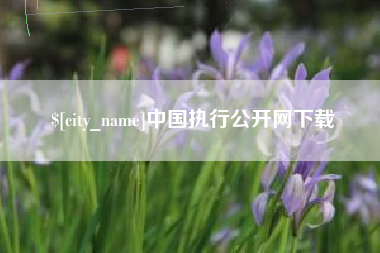 阳泉中国执行公开网下载