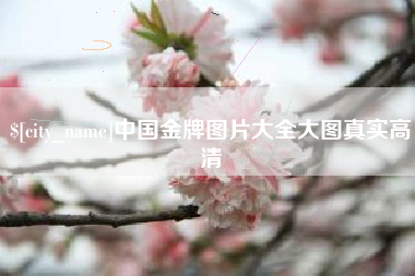阳泉中国金牌图片大全大图真实高清