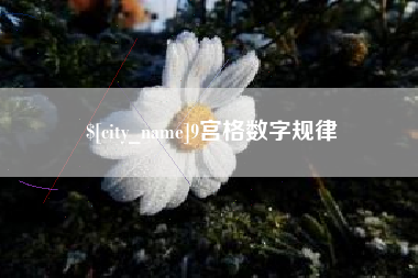 阳泉9宫格数字规律