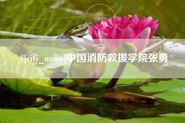 阳泉中国消防救援学院张勇